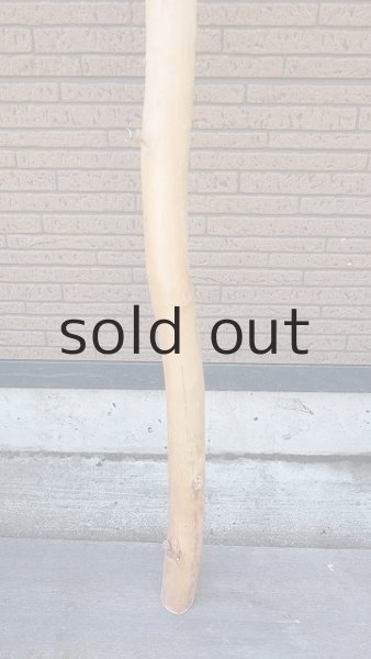 画像2: 棒流木・長尺 (2)