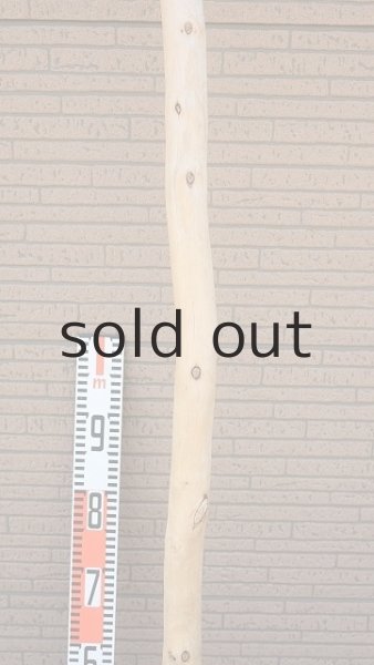 画像7: 棒流木・長尺 (7)