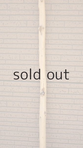 画像4: 棒流木・長尺 (4)