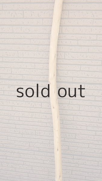 画像3: 棒流木・長尺 (3)