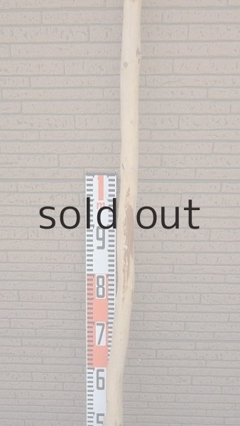 画像7: 棒流木・長尺 (7)