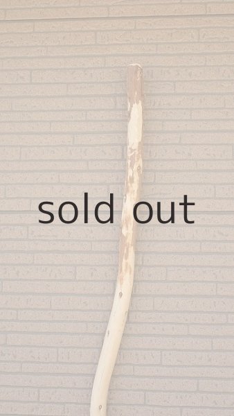 画像4: 棒流木・長尺 (4)