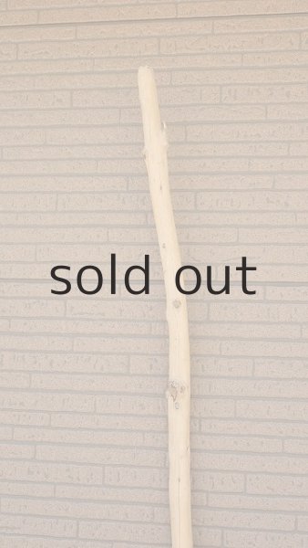 画像5: 棒流木・長尺 (5)