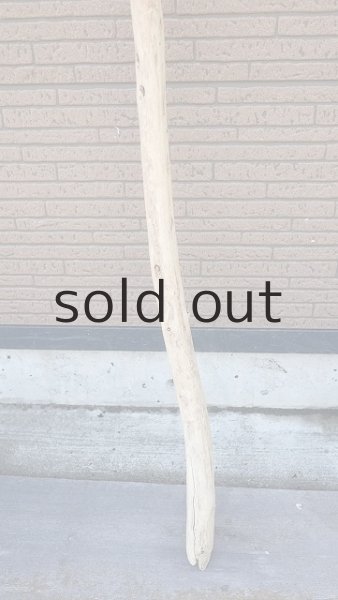 画像2: 棒流木・長尺 (2)