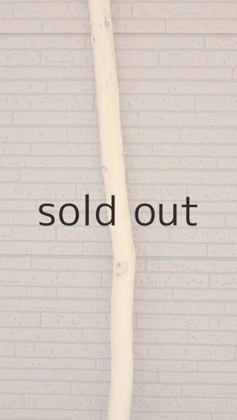 画像4: 棒流木・長尺 (4)