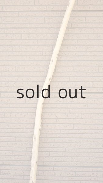 画像4: 棒流木・長尺 (4)