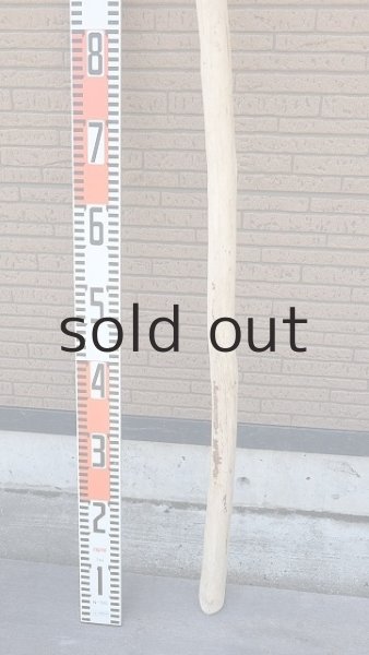 画像6: 棒流木・長尺 (6)