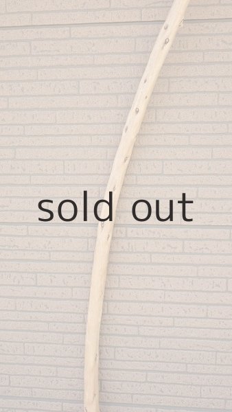 画像4: 棒流木・長尺 (4)