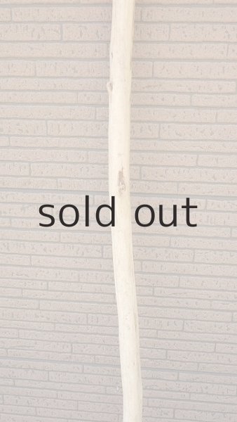 画像3: 棒流木・長尺 (3)