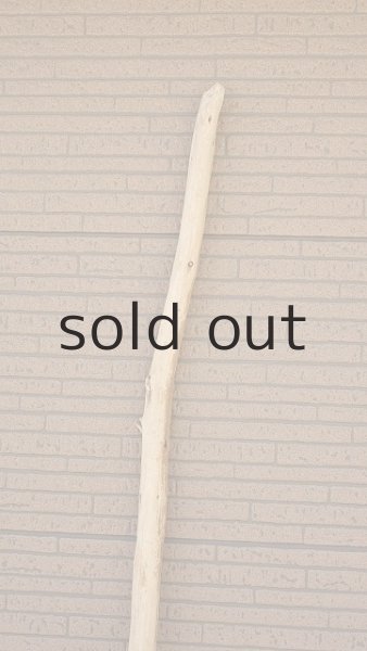 画像5: 棒流木・長尺 (5)