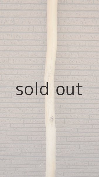 画像3: 棒流木・長尺 (3)