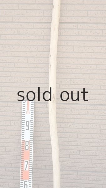 画像7: 棒流木・長尺 (7)