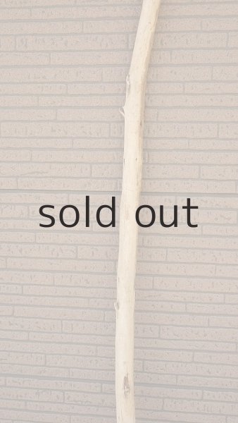 画像4: 棒流木・長尺 (4)