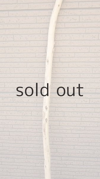 画像3: 棒流木・長尺 (3)