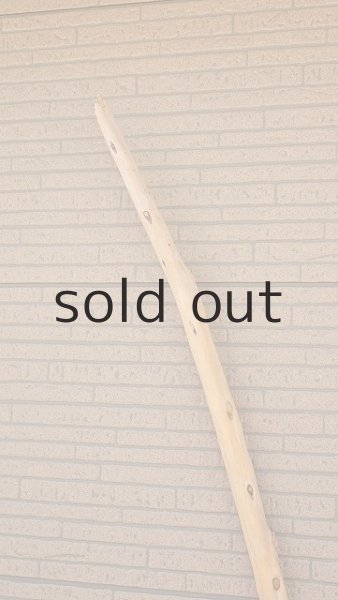 画像5: 棒流木・長尺 (5)