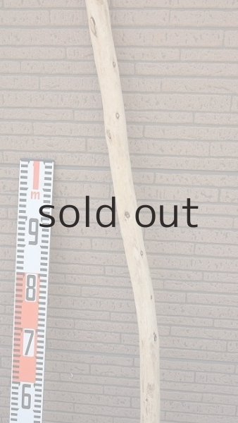 画像7: 棒流木・長尺 (7)