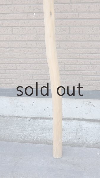 画像2: 棒流木・長尺 (2)