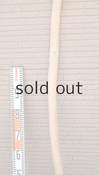 画像7: 棒流木・長尺 (7)