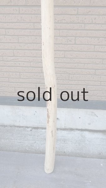 画像2: 棒流木・長尺 (2)