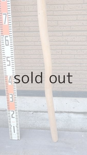 画像6: 棒流木・長尺 (6)