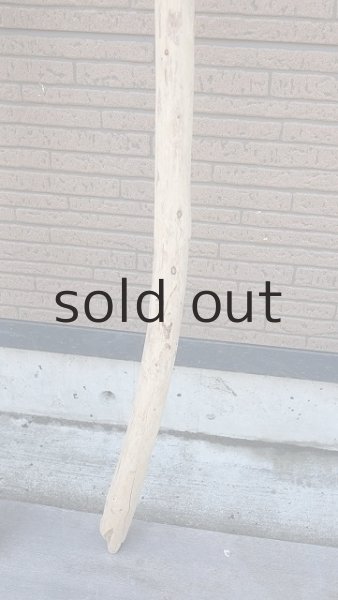 画像6: 棒流木・長尺 (6)