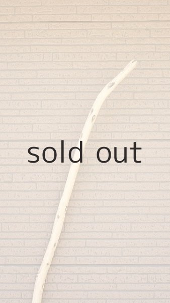 画像5: 棒流木・長尺 (5)