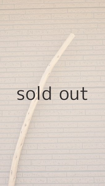 画像5: 棒流木・長尺 (5)