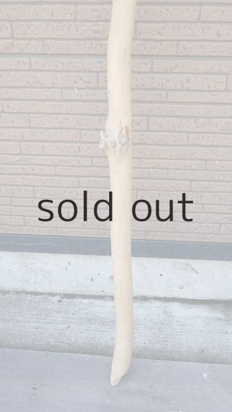 画像2: 棒流木・長尺 (2)