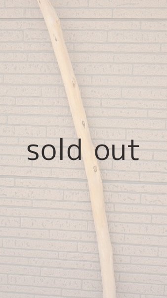 画像4: 棒流木・長尺 (4)