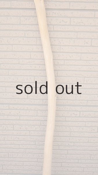 画像3: 棒流木・長尺 (3)