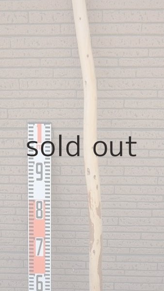 画像6: 棒流木・長尺 (6)