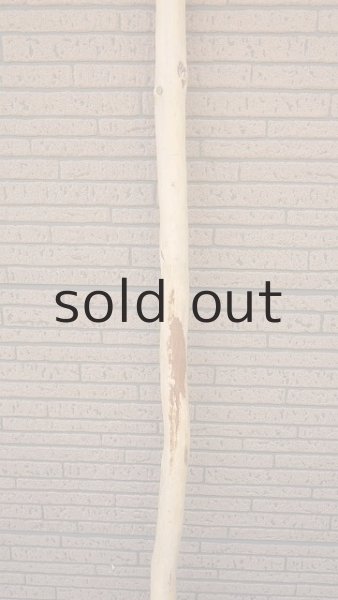 画像3: 棒流木・長尺 (3)