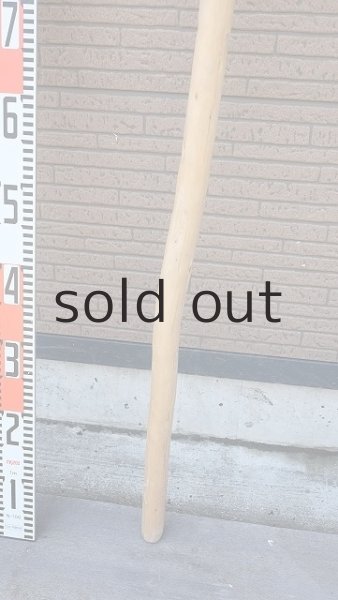 画像6: 棒流木・長尺 (6)