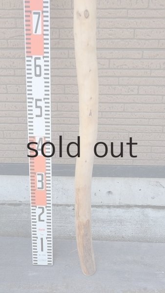 画像6: 棒流木・長尺 (6)