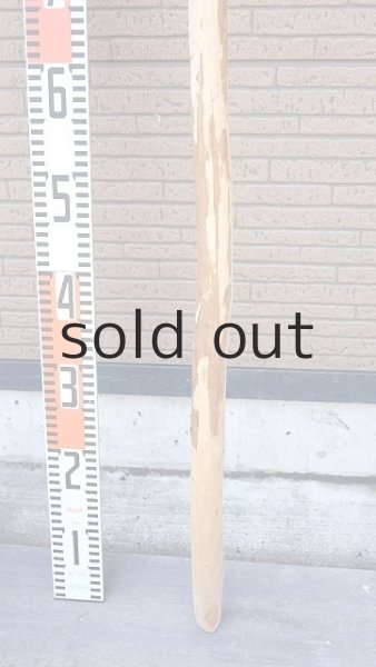 画像5: 棒流木・長尺 (5)