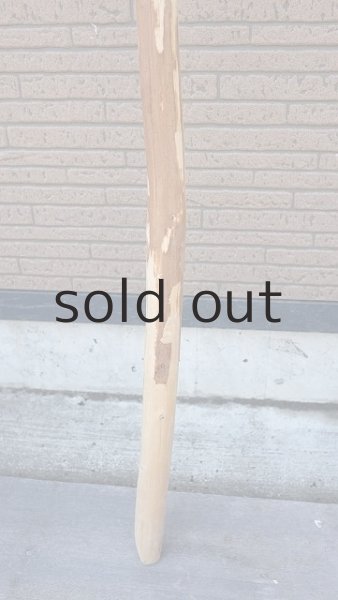 画像2: 棒流木・長尺 (2)