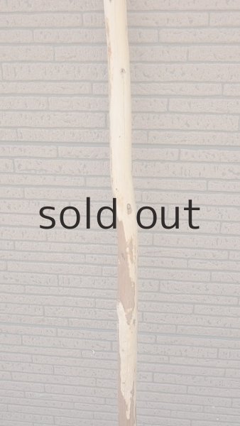 画像3: 棒流木・長尺 (3)