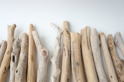 画像1: 小枝流木セット