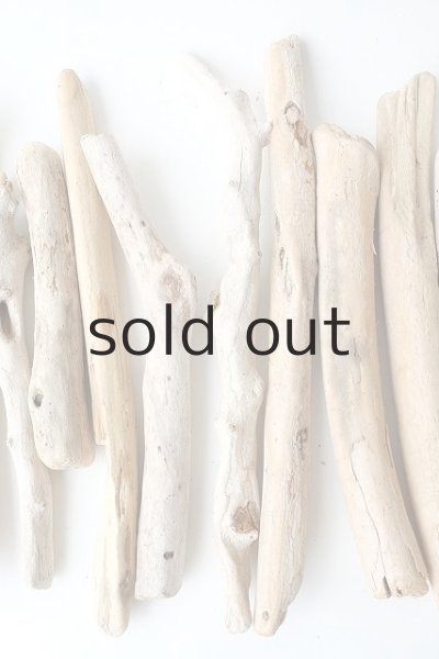 画像3: 小枝流木セット (3)