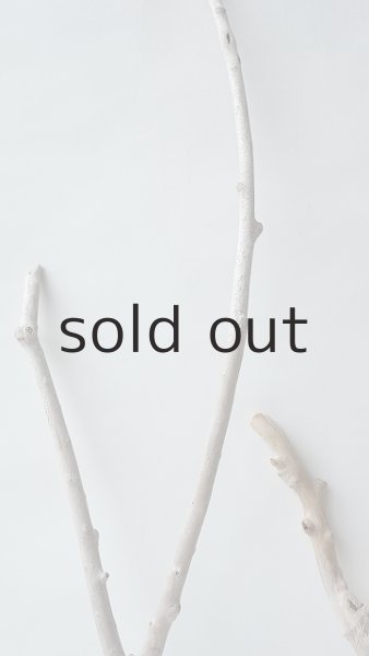 画像3: 小枝流木セット (3)