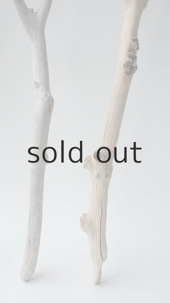 画像6: 小枝流木セット (6)