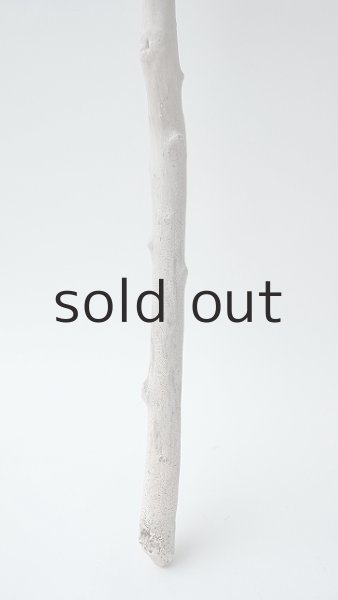 画像2: 小枝流木セット (2)