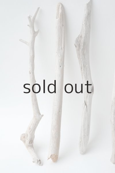 画像2: 小枝流木セット (2)