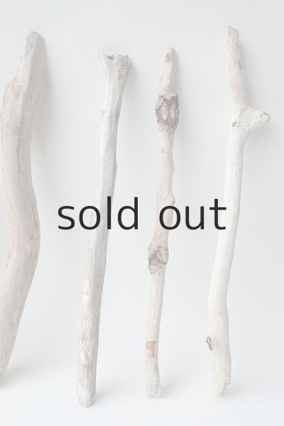 画像4: 小枝流木セット (4)