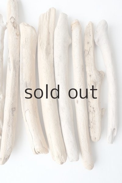 画像4: 小枝流木セット (4)