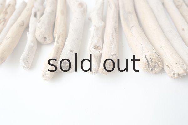 画像5: 小枝流木セット (5)