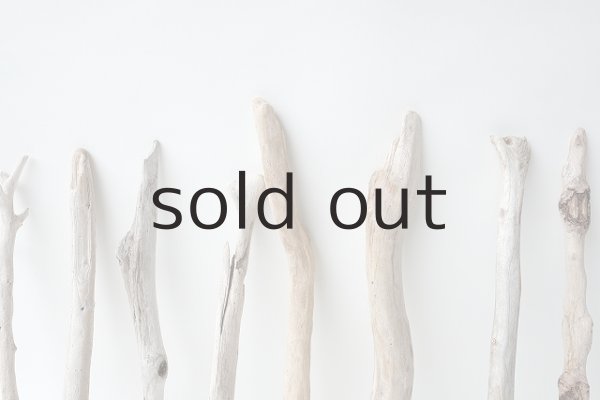 画像5: 小枝流木セット (5)