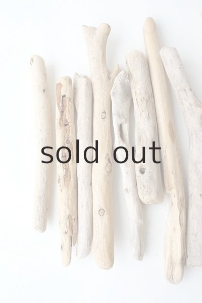 画像2: 小枝流木セット (2)