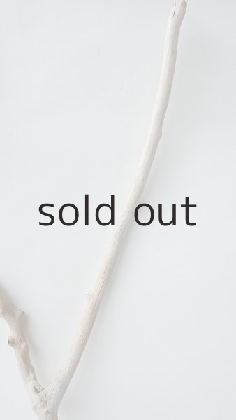 画像5: 小枝流木セット (5)