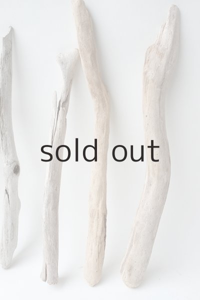 画像3: 小枝流木セット (3)